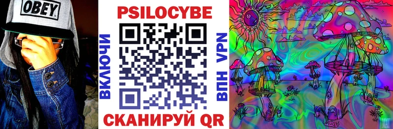 Псилоцибиновые грибы Psilocybe  продажа наркотиков  Дзержинский 