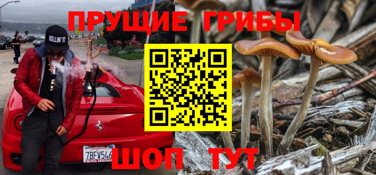 Галлюциногенные грибы Psilocybe  Дзержинский 
